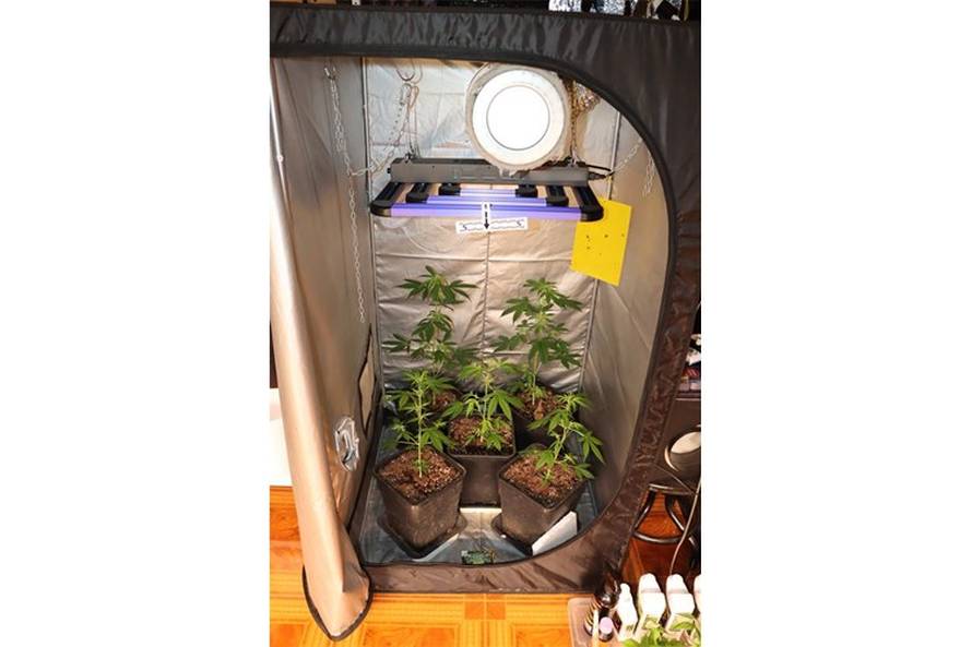 FOTO Narcos iz Desinca. Otkrili labos u dvorištu, uzgajao travu, gljive i kaktuse za meskalin