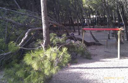 Stablo se srušilo samo od sebe posred dječjeg parka