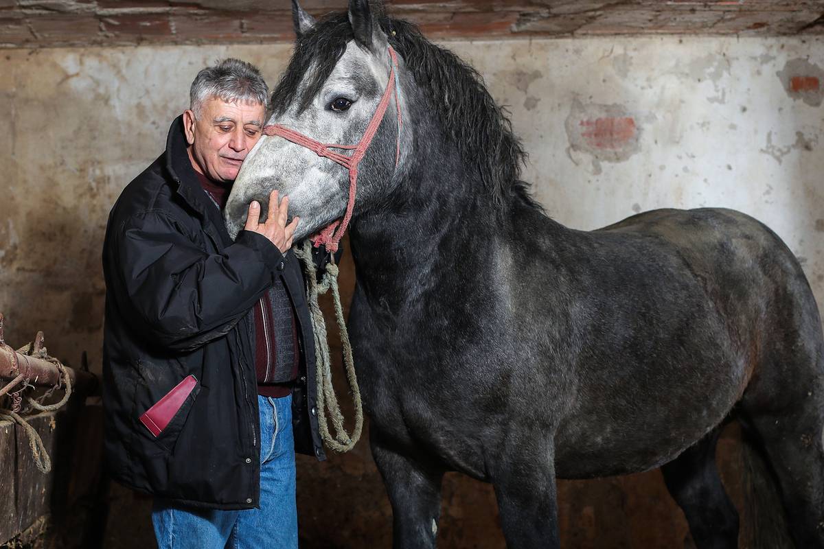 VIDEO 'Zekane moj!' Dirljiv susret čovjeka koji je bosonog spašavao konja nakon potresa