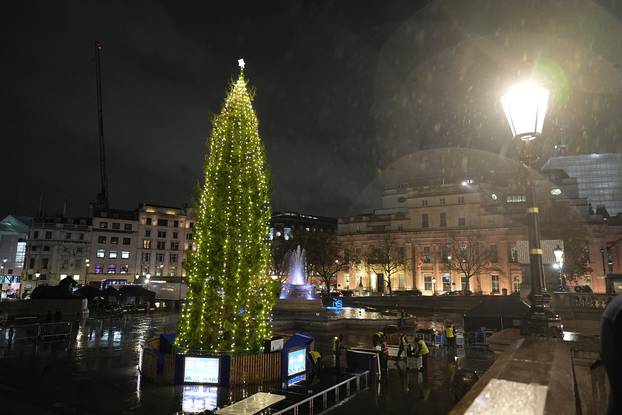 Trafalgar Square Christmas Tree