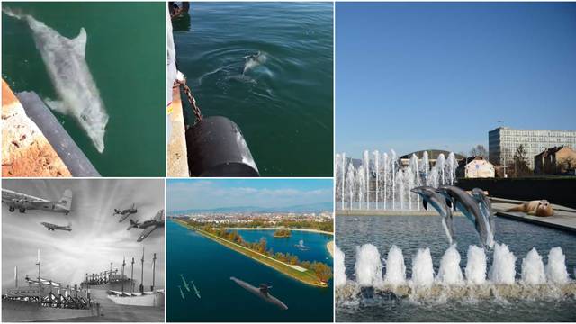 Priroda se oporavlja: Delfini su, nakon Italije, viđeni u Zagrebu!