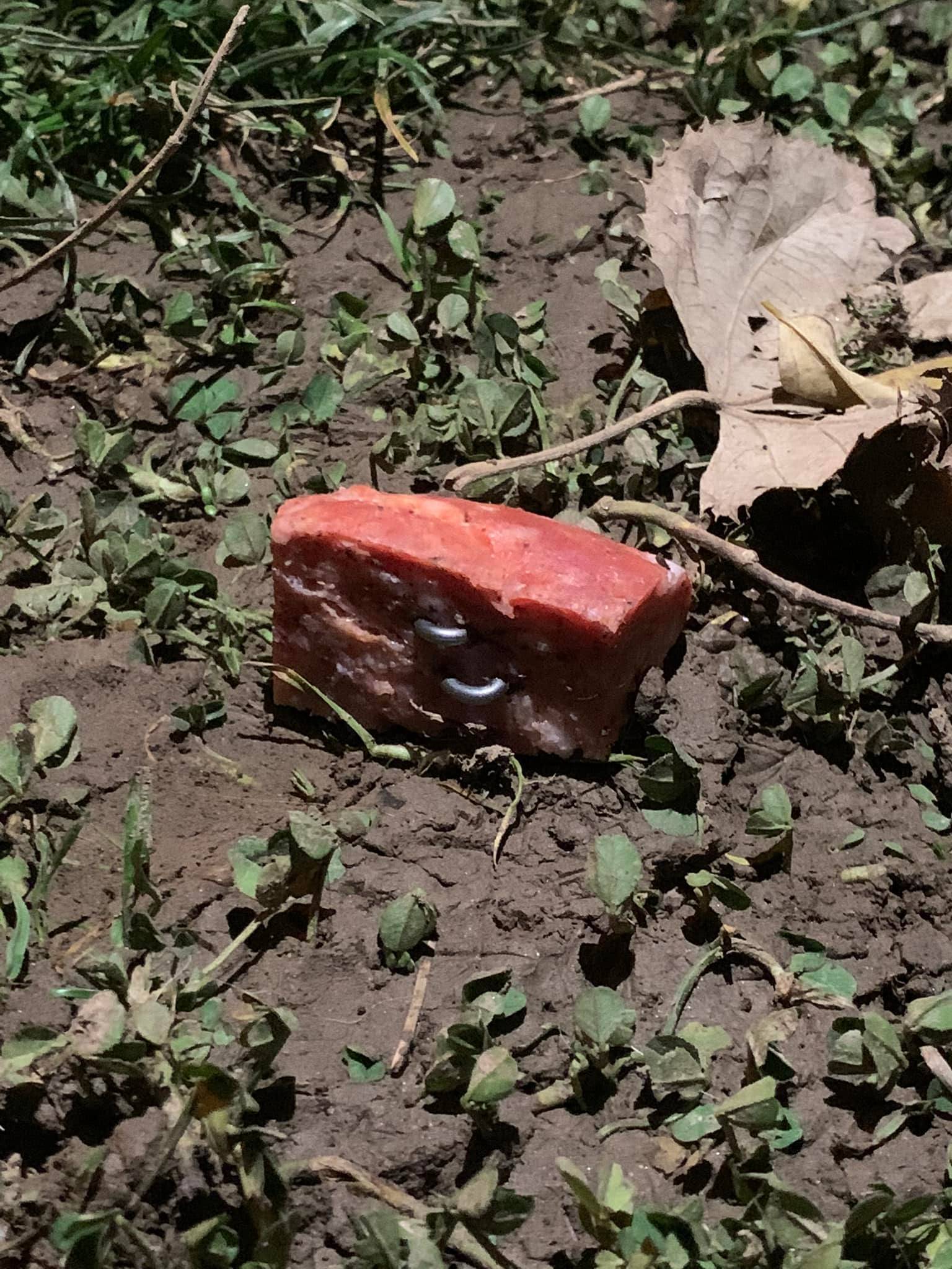 Zagrepčani zgroženi: Netko u parku stavlja čavle u komade mesa: 'Jedan pas je uginuo'