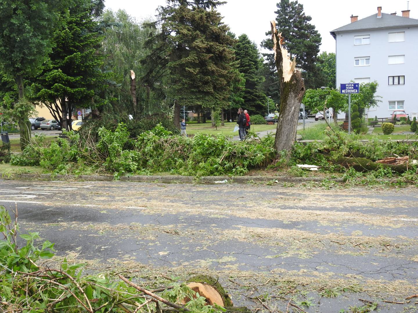 Strašno nevrijeme poharalo i Koprivnicu: Vjetar čupao i lomio stabla, nastala ogromna šteta