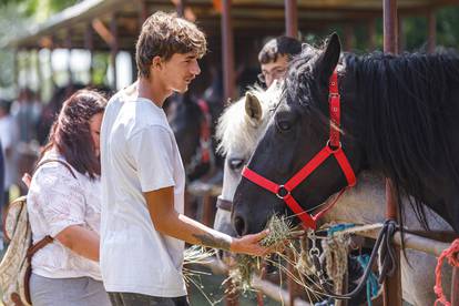 Državna izložba zaštićenih pasmina konja i konjskih zaprega