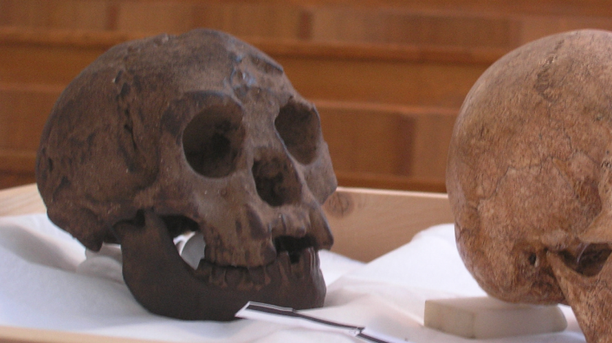 Mitska bića koja zastrašuju, a bili smo uvjereni da ne postoje