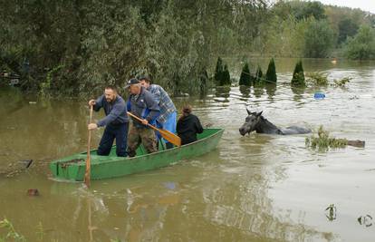 Poplavljeno imanje: Susjedi su čamcima izvukli konje iz vode