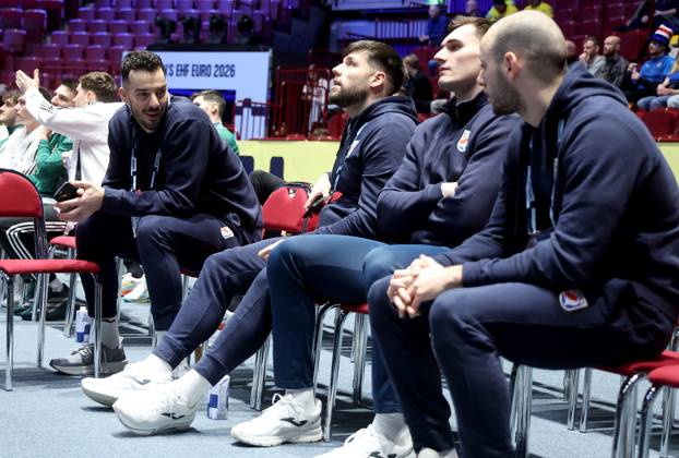 Malmo: Zvonimir Srna sa suigračima prati utakmicu Slovenija - Island 