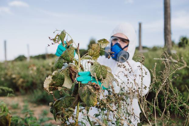 Weed control researching