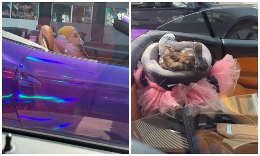 VIDEO BIZARNO Muškarac s patkom u ljubičastom Ferrariju prijetio pištoljem! Došla policija