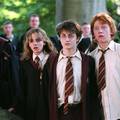 Početkom godine dolazi specijal o Harryju Potteru: Razgovarat će o simpatijama, poljupcima...