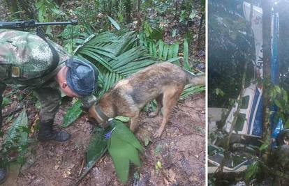 Preživjeli u džungli: Pronašli su četvero djece 15 dana  nakon pada aviona, s njima bila i beba