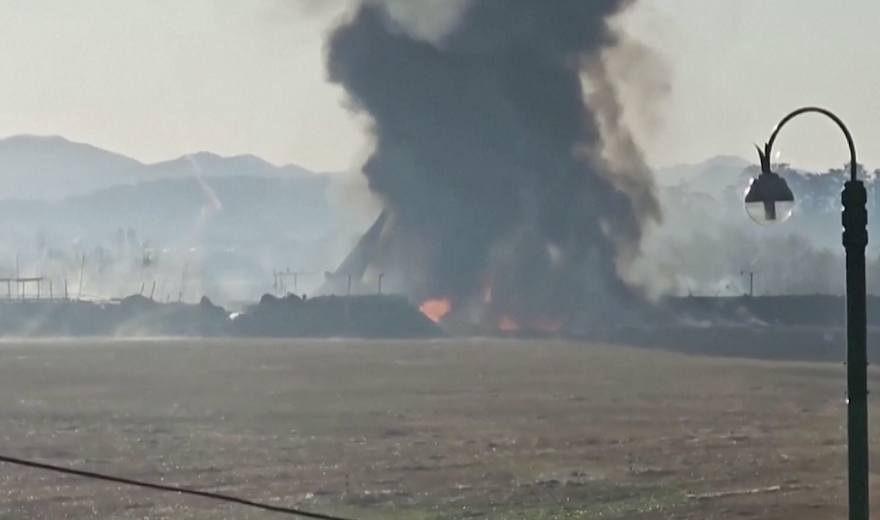 VIDEO Zaposlenik zračne luke: 'Jato ptica prekrivalo je nebo na pisti prije pada'. 179 poginulih