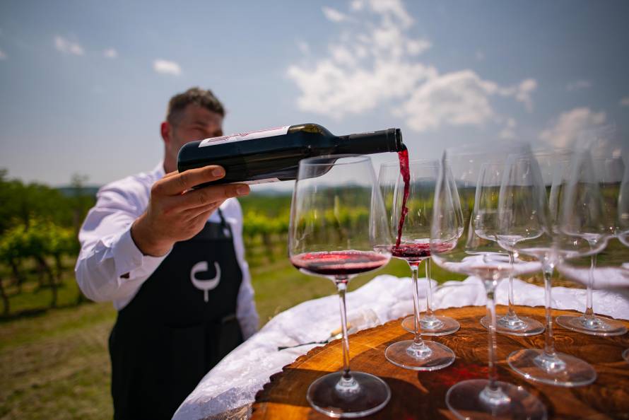 CAI FERIČANCI 2025: Slavonija u punom galopu: konjičko natjecanje, vino i doživljaji!