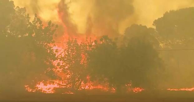 Wildfires in Portugal