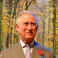 Sve zbog Kraljice: Princ Charles pozvao na obnovu starih šuma
