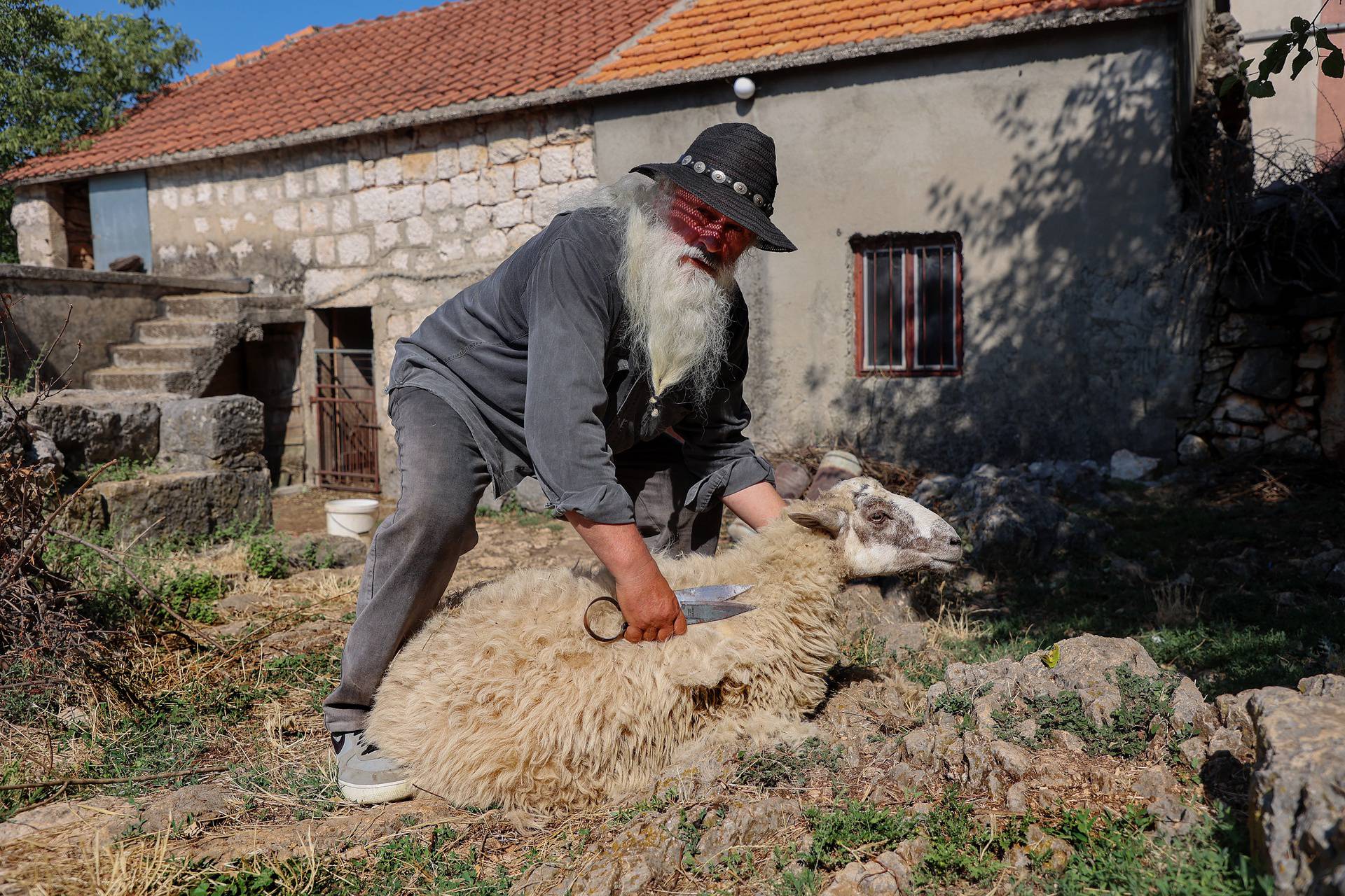 Baka Mara (77): Po starinski ovcu ošišam za nekoliko minuta