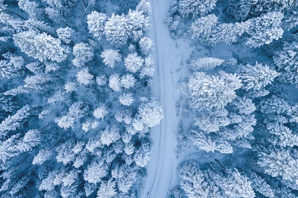Prvi dan zime: Hrvatska ni ove godine neće imati bijeli Božić, ali čeka nas spektakl na nebu