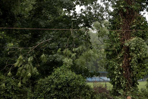 Zagreb: Palo stablo na Maksimirskoj, blokiran promet, vatrogasci na terenu