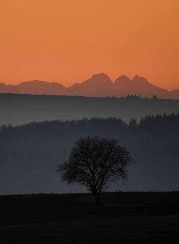 Foggy sunset in Germany