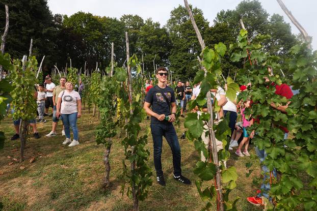 Gornja Stubica: Održan 28. Susret za Rudija