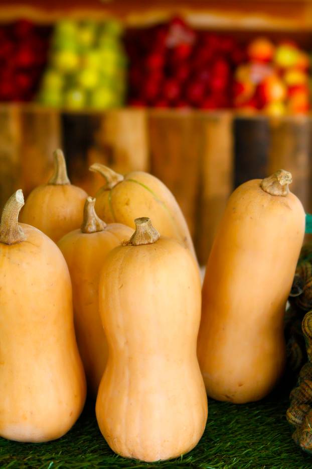 Pumpkins in greengrocer's