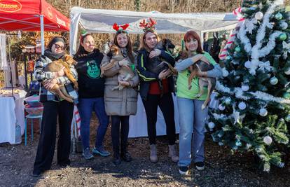 Advent za dlakavce u Rijeci: Azil organizirao druženje sa slatkim psićima koji traže svoj topli dom