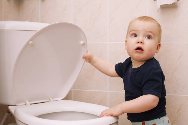 little boy looks in the toilet
