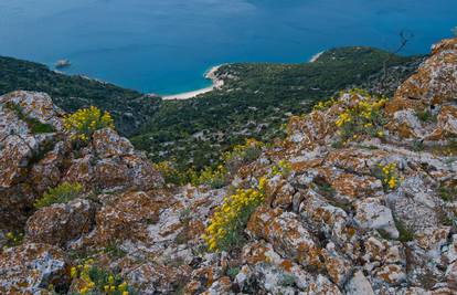 Najljepše plaže hrvatske obale + najtraženije plaže svijeta...