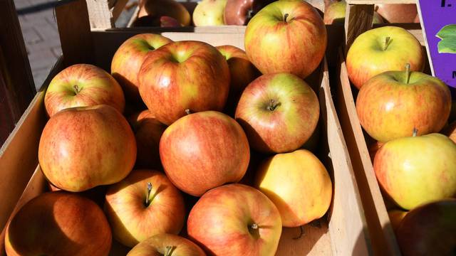 Bjelovar: Svjetski dan jabuka obilježili i domaći proizvođači