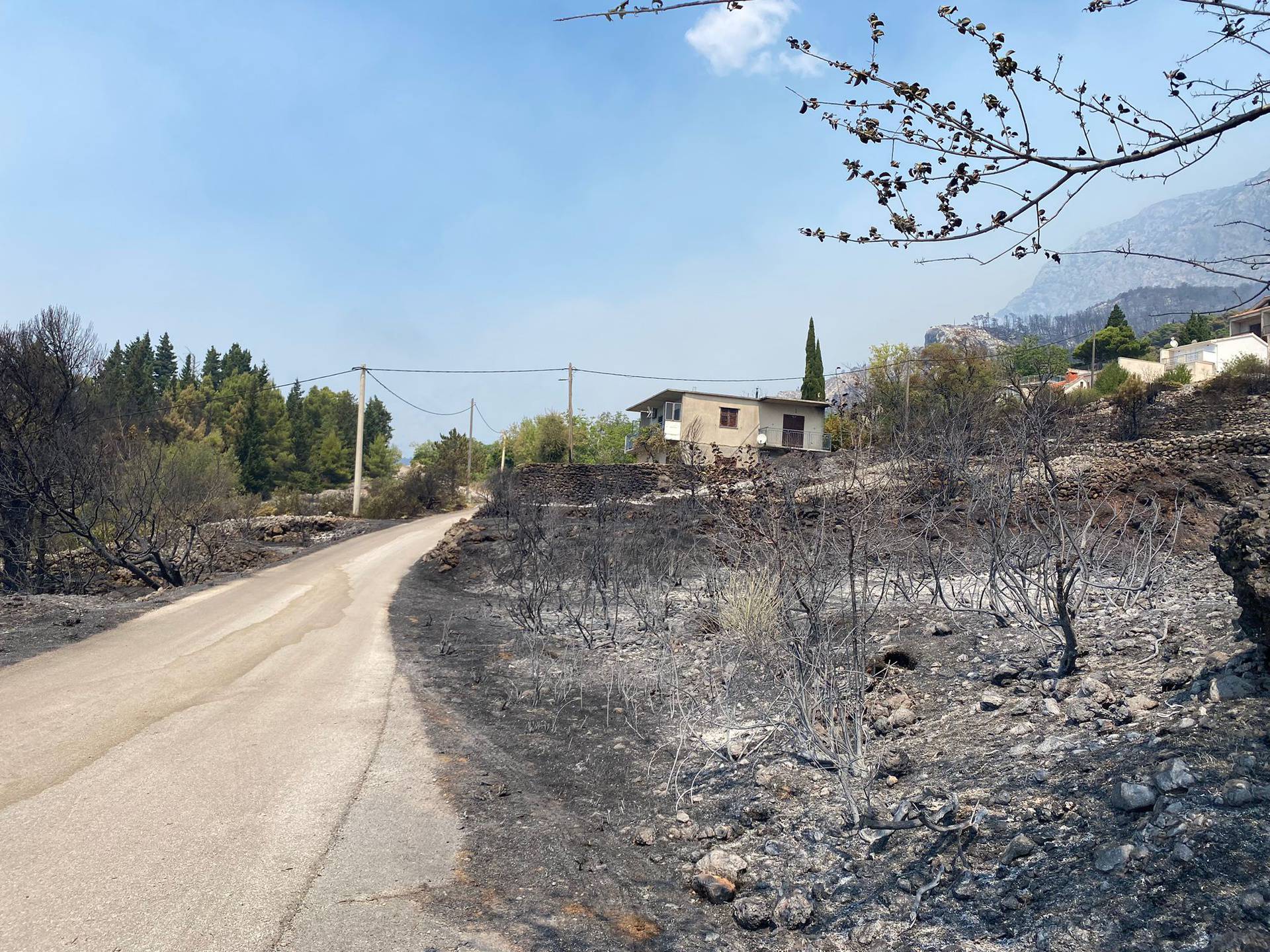 Inferno prohujao Podgorom: 'Vatra nas je okružila sa svih strana, jedva smo ostali živi'