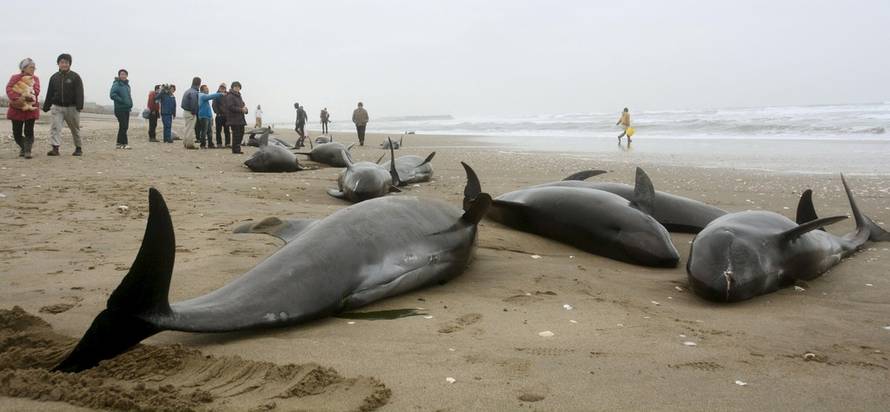 Reuters