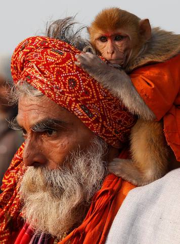 A Sadhu or a Hindu holy man carrying his pet monkey walks after taking a dip at the confluence of the river Ganges and the Bay of Bengal on the occasion of "Makar Sankranti" festival at Sagar Island