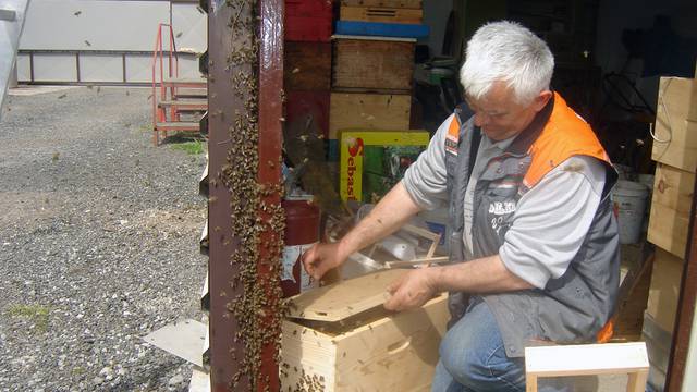 Utjeha pčelaru: Spalili mu pčele pa su mu došle nove
