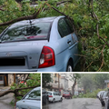 Udari vjetra lomili su grane na Marjanu, dio stabla pao na auto