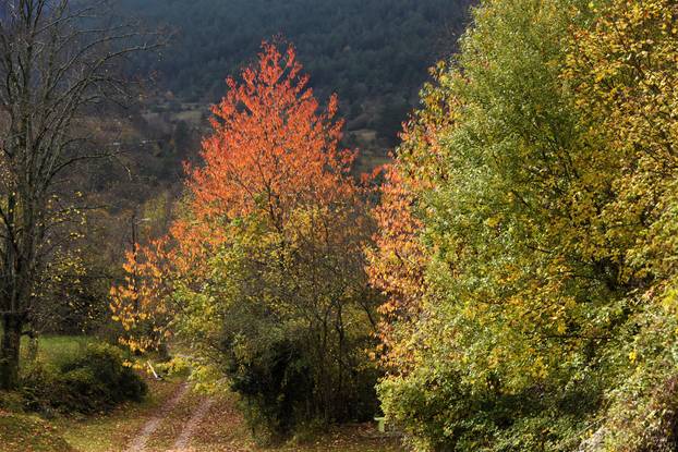 Vodice: Jesenja mističnost Ćićarije