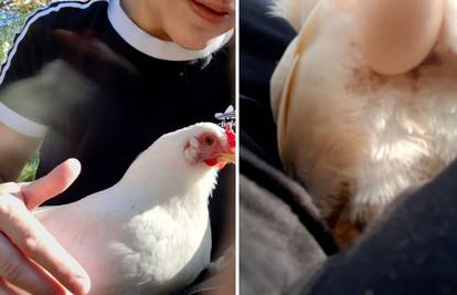 Urnebesni video iz Zagorja: Što je ljepše od ovoga? Koka sjedne u krilo i evo ti jaje na oko...