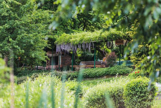 Savršeno mjesto za bijeg: Kuća na jezeru u srcu Lonjskog polja