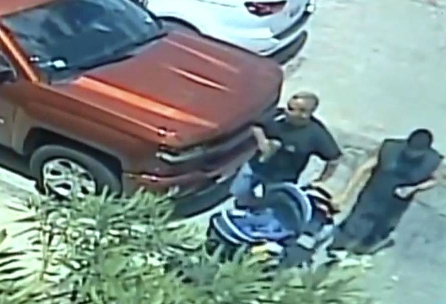 Morskog psa umotali u dekicu,  stavili u dječja kolica i pobjegli