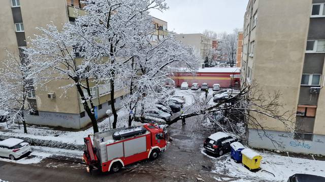 Policija o snježnom kaosu u Zagrebu:  Snijeg rušio stabla, oštećeno je pet automobila