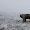 Jutra na prvoj liniji obrane u Ukrajini: Vojnik boksa i radi sklekove na smrznutom polju
