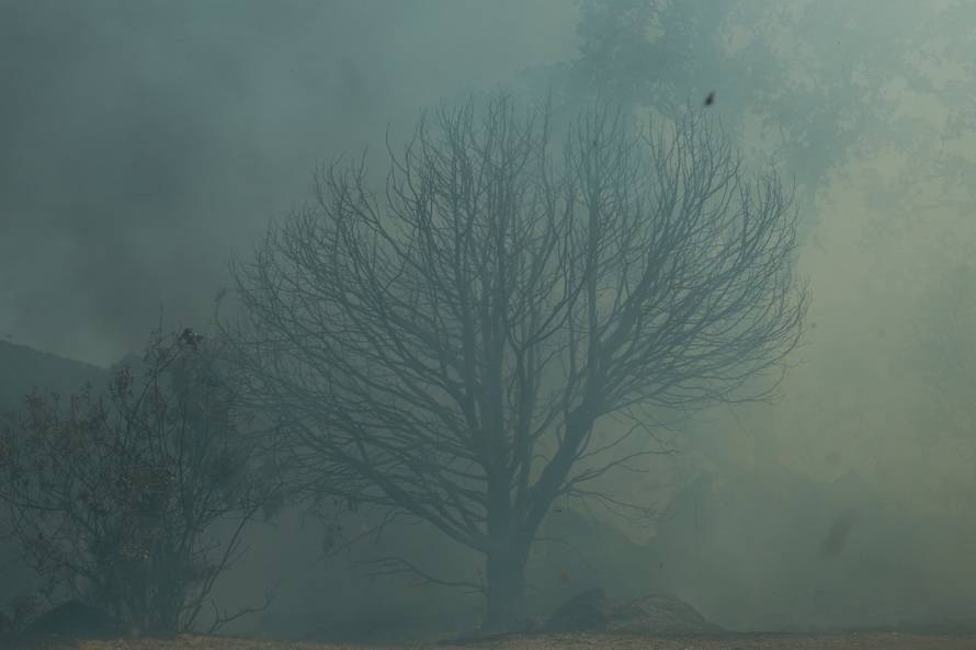 Wildfire in El Tiemblo, Spain