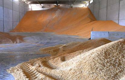 Poljska pokreće istragu o uvozu žitarica s lažnim deklaracijama