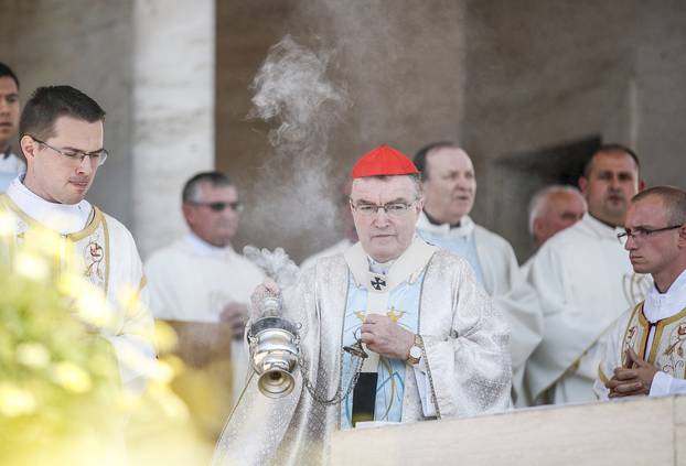 Kardinal Bozanić predvodio misno slavlje na blagdan Velike Gospe u Mariji Bistrici