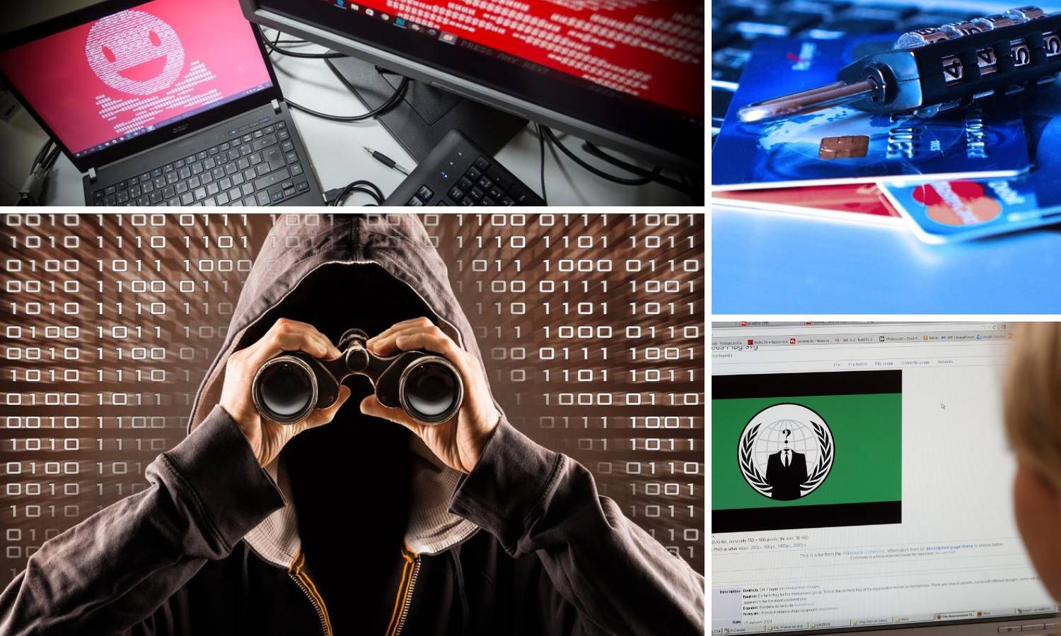 Internetska džungla: Kako se zaštititi od hakerskih napada