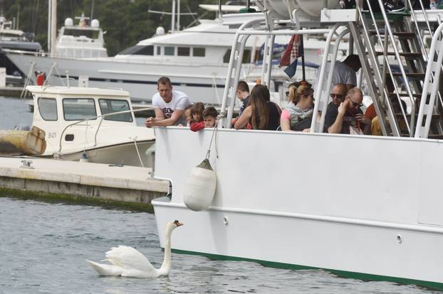 Velike gužve za ukracaj na turističke brodove u Nacionalnom parku Krka