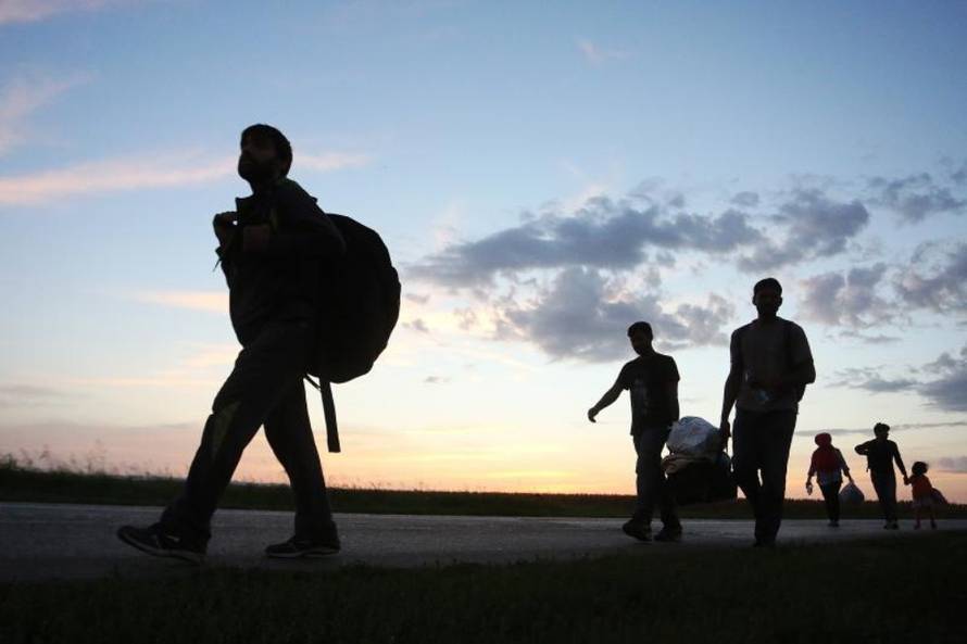 Marko Mrkonjić/PIXSELL