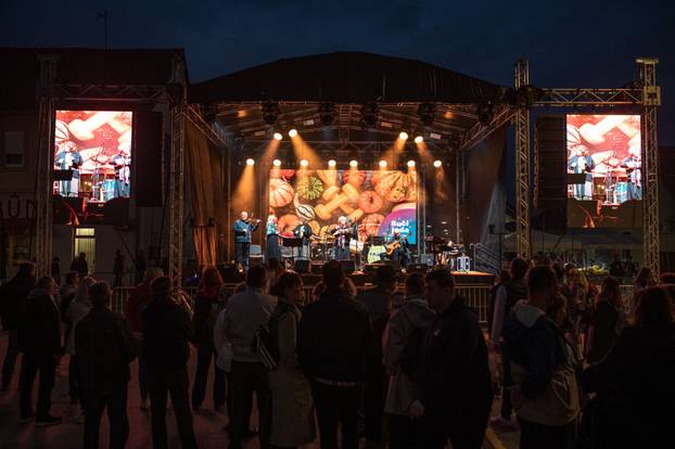 Održana 21. Bučijada i Sajam bučina ulja u Ivanić-Gradu
