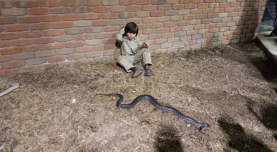 Ballarat Wildlife Park/Facebook