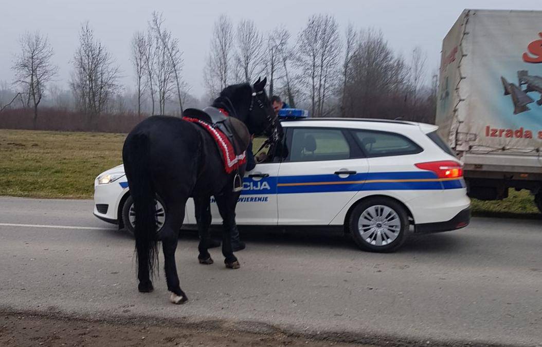 Junak iz Brodske Posavine: 'Konju jedan, što to njuškaš?!'