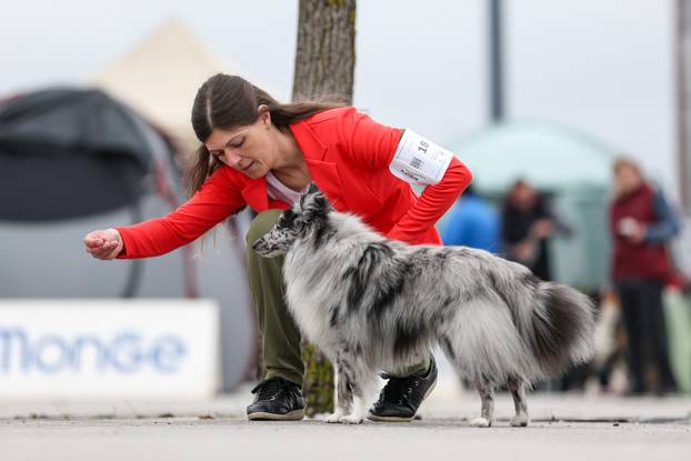 Izložba pasa svih pasmina ispred shopping centra Westgate City u Zaprešiću